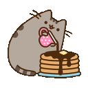 :apusheenpancakes: