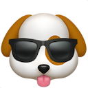 :dog_sunglasses: