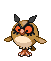 :Hoothoot: