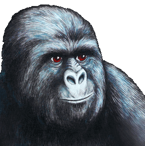 :harambi: